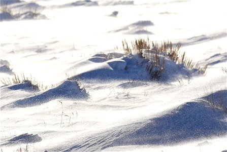 Sage steppe winter at Seedskadee NWR