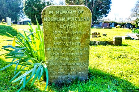 NORMAN MACLEAN LEYS PHYSICIAN AND AUTHOR