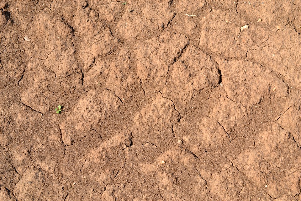 Free textures with cracks