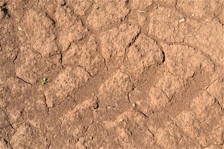 Free textures with cracks