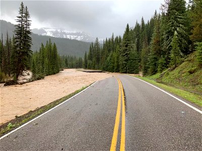 Northeast Entrance Road washed out near Soda Butte Picnic Area.