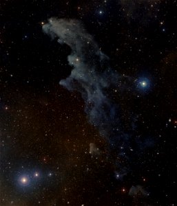 IC 2118 - The Witch Head Nebula photo