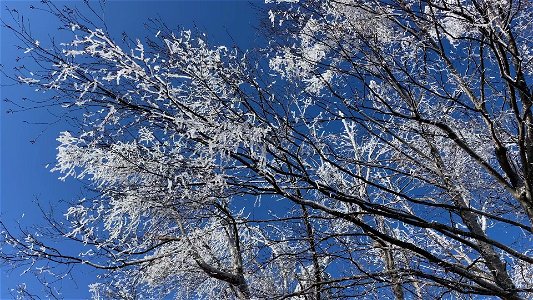 Ice Storm 2022_Pan of icy landscape near Skyland