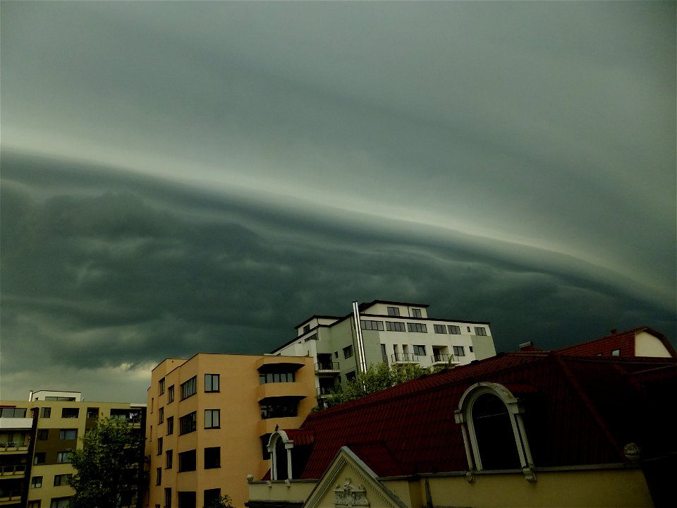 nori-sediu2015_0507_075246(1)