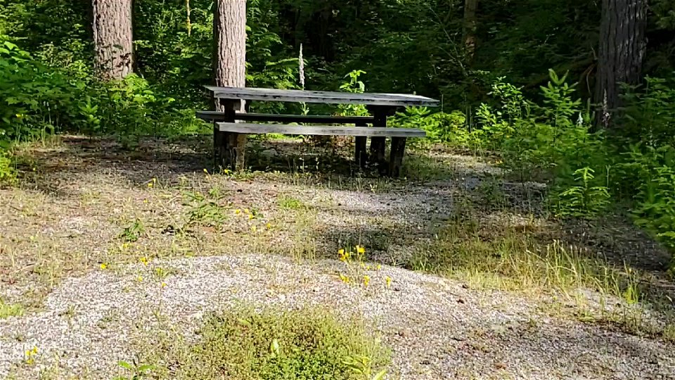 Picnic Table Old Sauk Trailhead Mt. Baker-Snoqualmie National Forest June 2020 Matthew Riggen