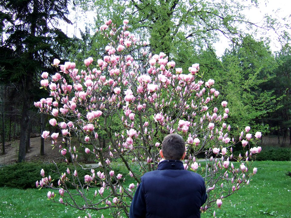 gradina botanica_34