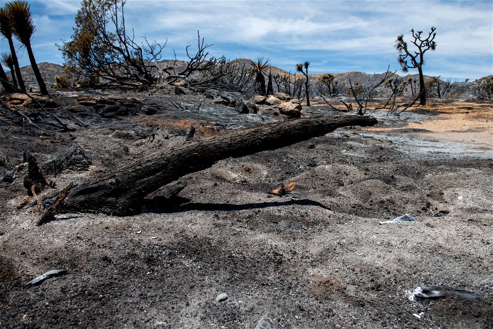 Elk Fire Burned Area