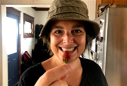 Cori Meets the Strawberry