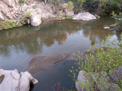 Sally May pool