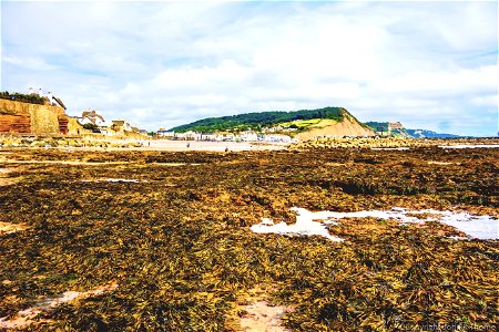 Sidmouth Devon