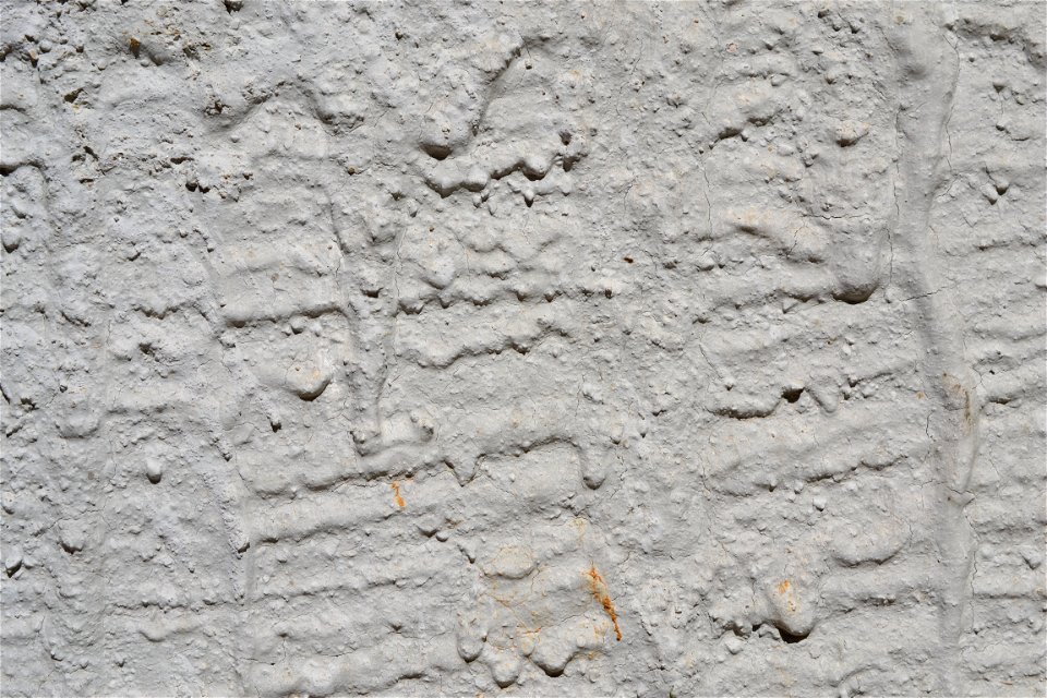 Free texture