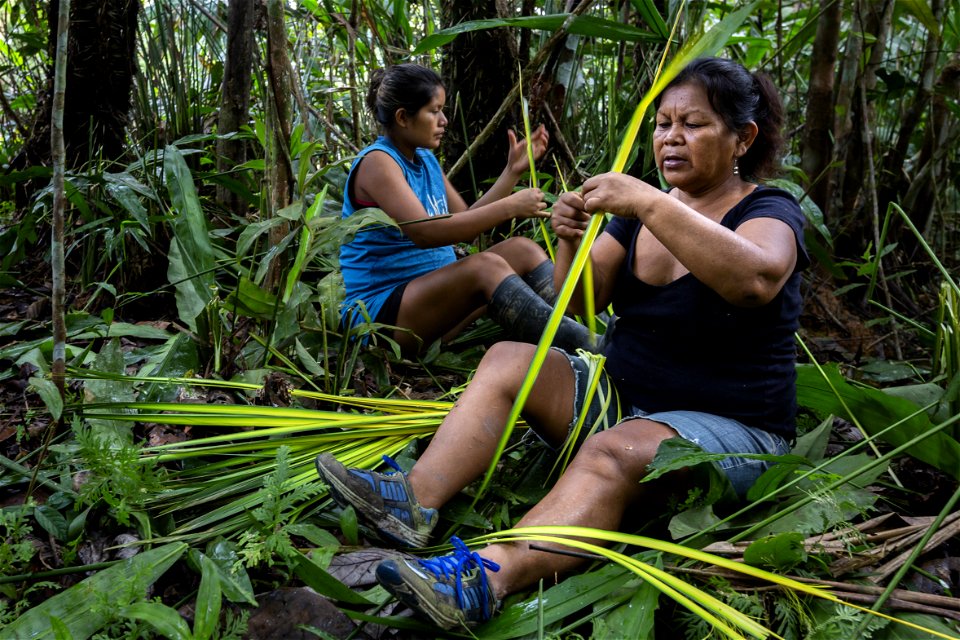 ConservationAmazonPeru-FS-006 photo