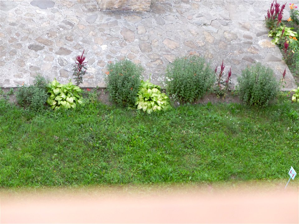 manastirea_Neamtz2015_0808_193132