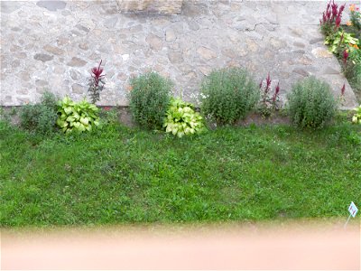 manastirea_Neamtz2015_0808_193132
