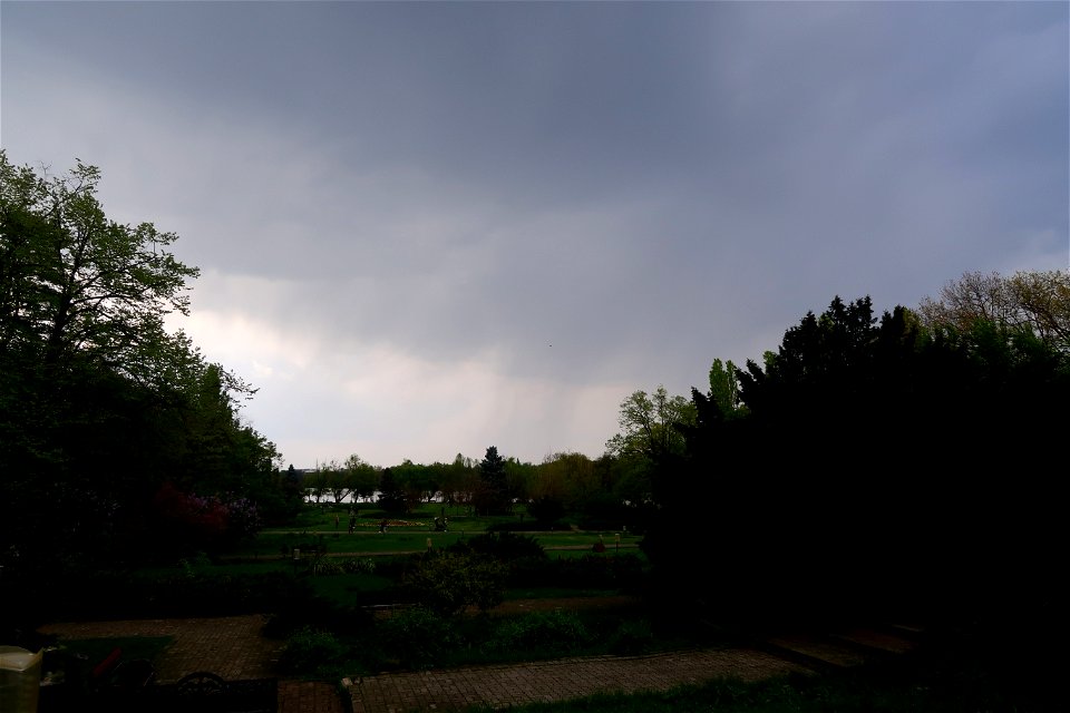 japanes_garden_rain_Herastrau (24)