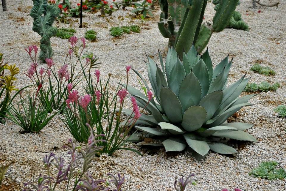 Suncheonman Bay National Garden Expo photo