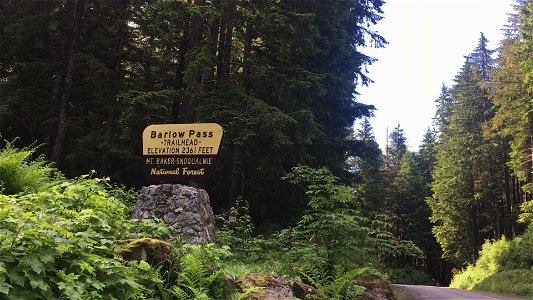 Barlow Pass Trailhead, Mt. Baker-Snoqualmie National Forest. Video by Holly Snarr June 26, 2020