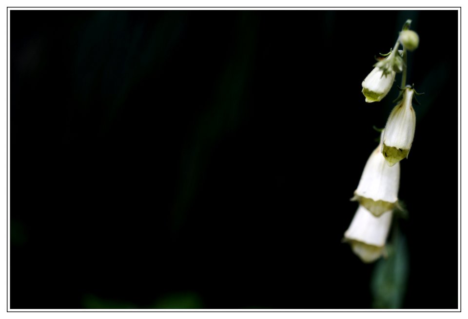 Along the path