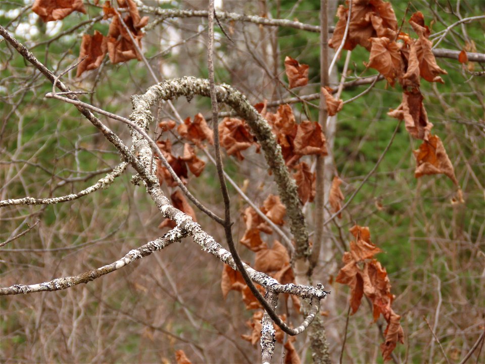 20211026-FS-Superior-SAR-006