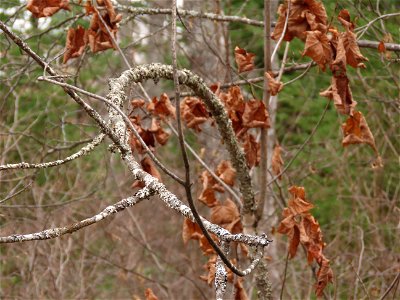 20211026-FS-Superior-SAR-006