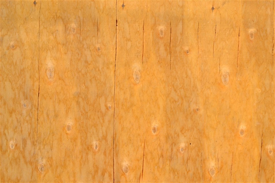 Texture