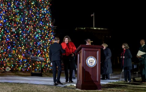 CapitolXmasTreeLighting-WashingtonDC-039 photo