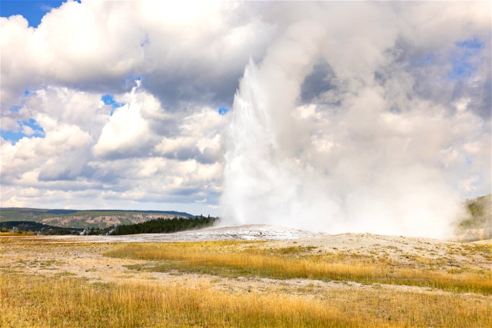 Afternoon Old Faithful eruption