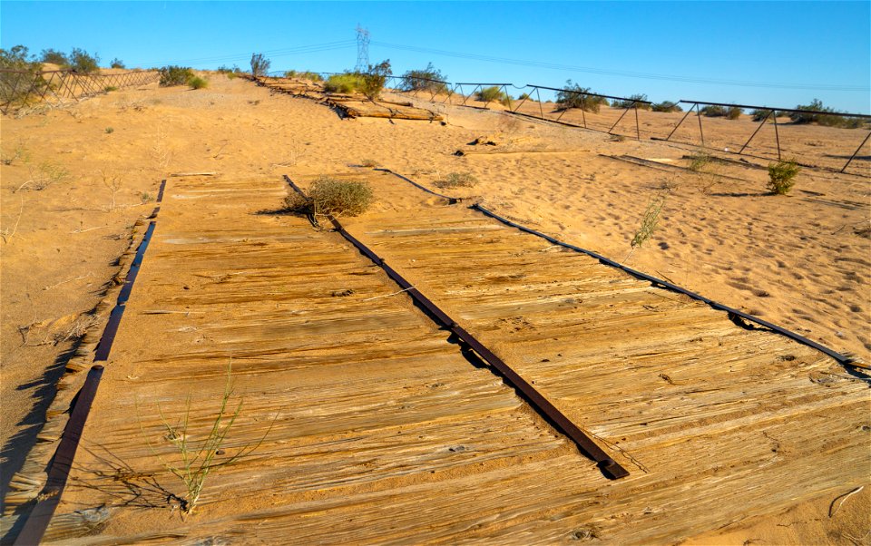 Imperial Sand Dunes photo