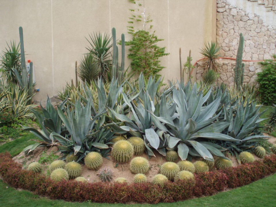 People garden lawn