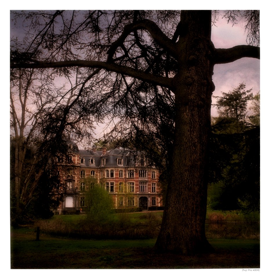 Castle Raven Court - Rear Facade