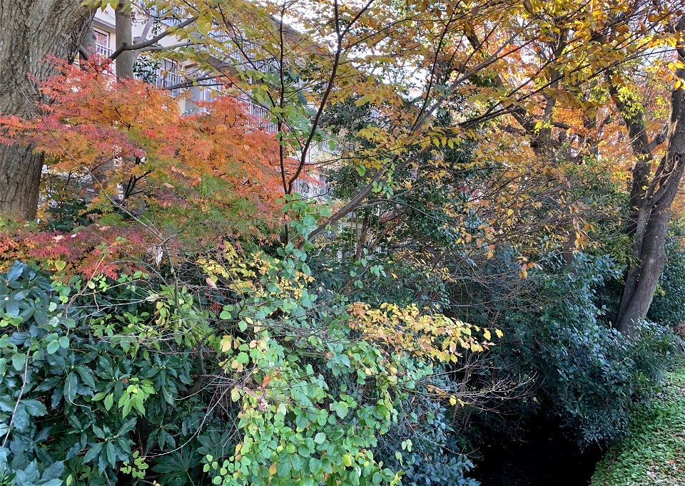 Shimosato, Higashikurume-shi in mid-December