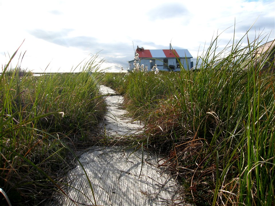 Old banding site