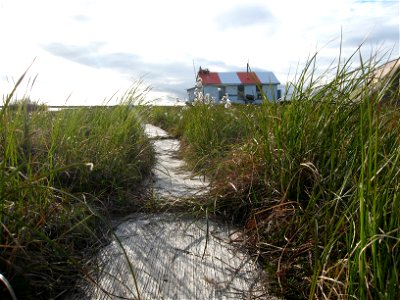 Old banding site