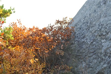 Deoksungsan Mountain