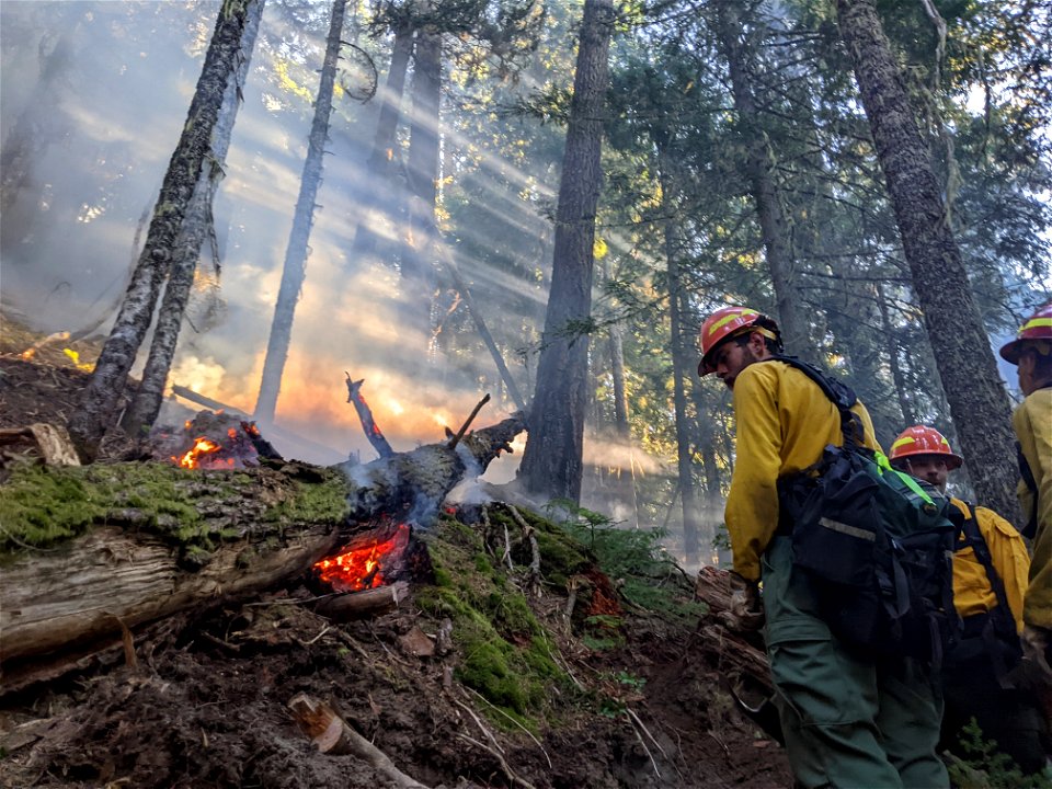 20220810-14-GP-Mcoy Peak fire 07 by Juno Barnett