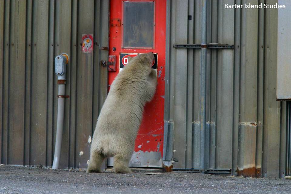 Locked Out