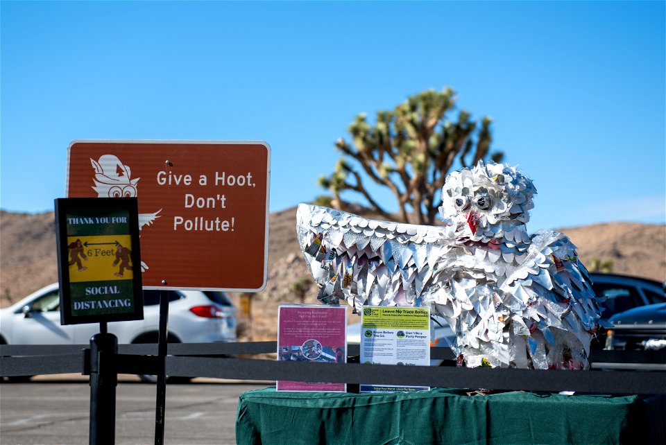 The National Christmas Tree Event at Cap Rock photo