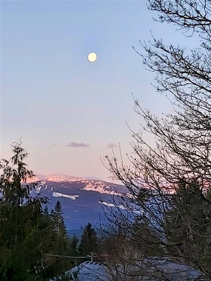 Nice moon this morning photo