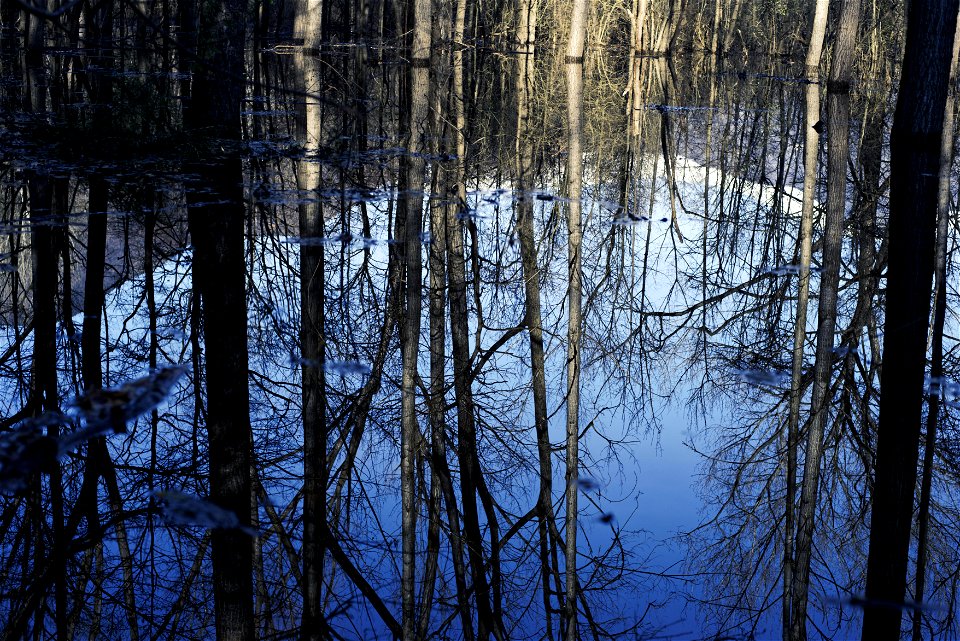 Sky in the water