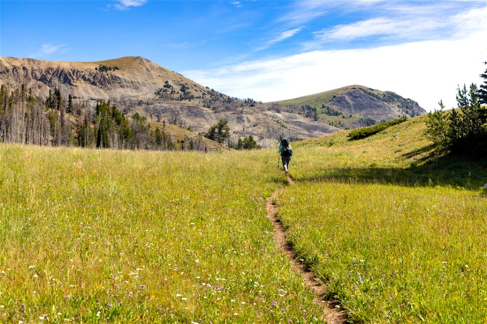 Hiking east of Fawn Pass