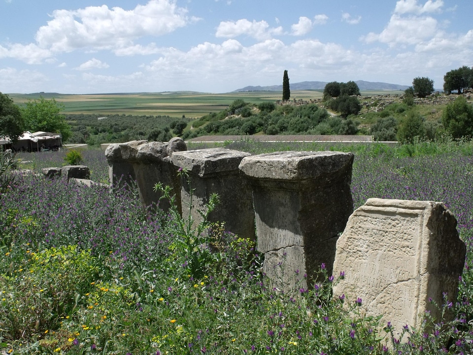 Archeology ancient stone