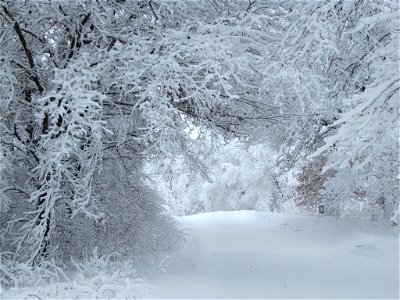 Winter Wonderland at Treampealeau National Wildlife Refuge photo