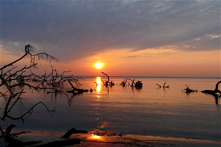 P1940759