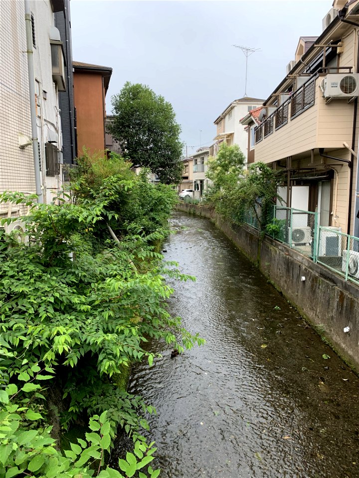 Tateno River in Sengencho, Higashikurume-shi