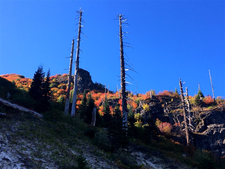 20210921-GP-Along Forest Road 99 by Christoph Stauder.