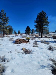 Twin Lakes Prescribed Burn photo