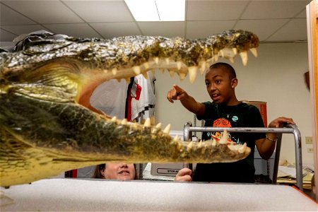 Take A Child To Work Day 2023