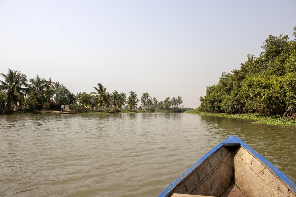 Pirogue bark canoe