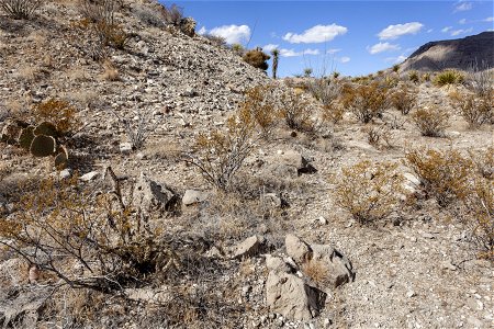 Near Pup Canyon