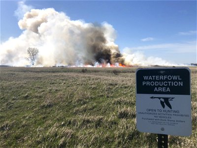 2021 USFWS Fire Employee Photo Contest Category: Fuels Management photo